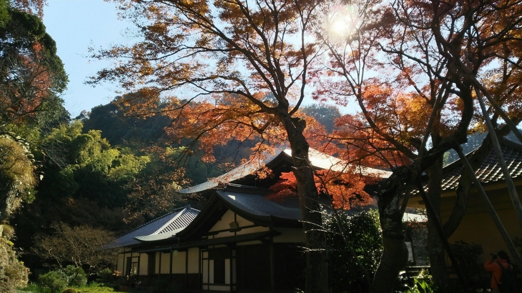 瑞泉寺庭園付近の紅葉