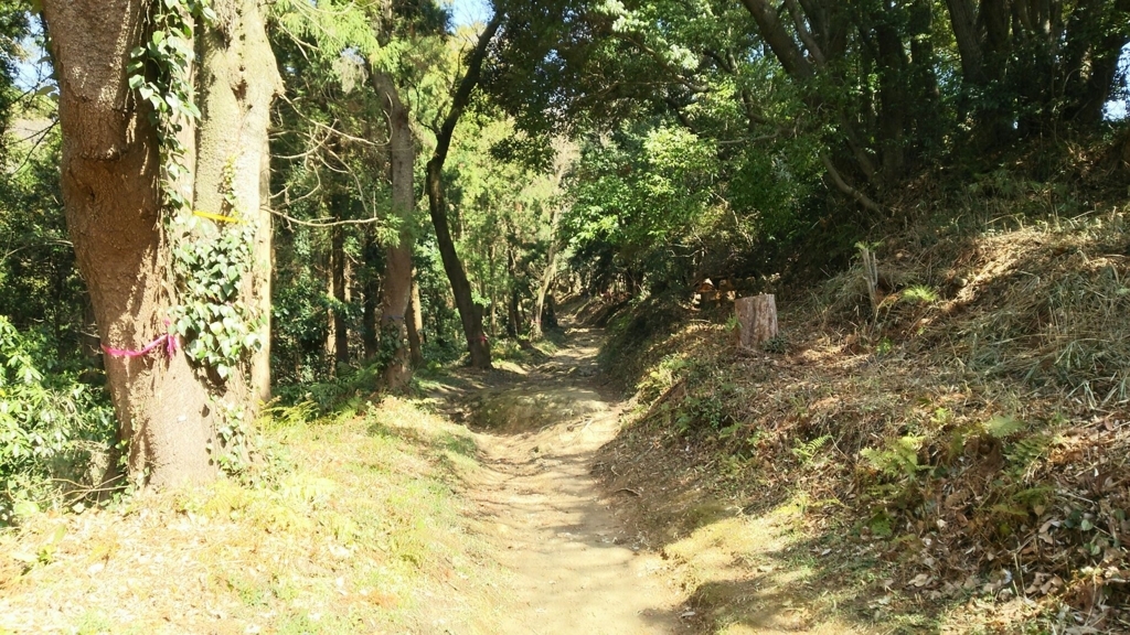 完全な山道となった参道