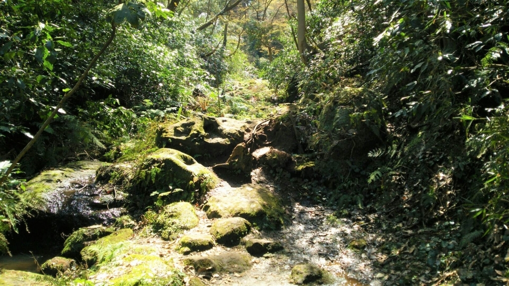 水の流れに沿って岩がゴロゴロしている参道