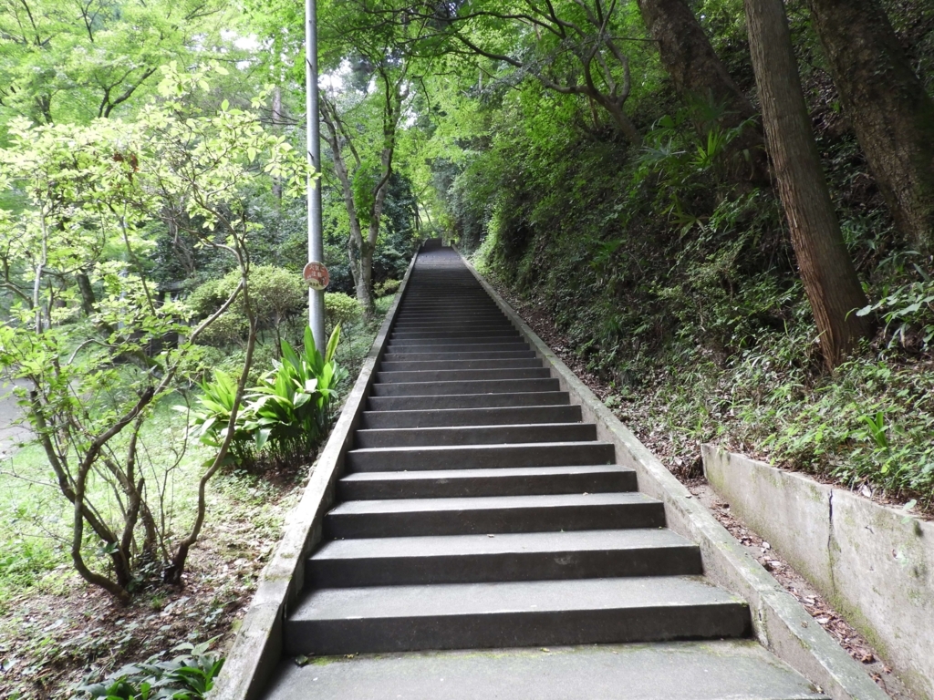 いよいよ始まった階段