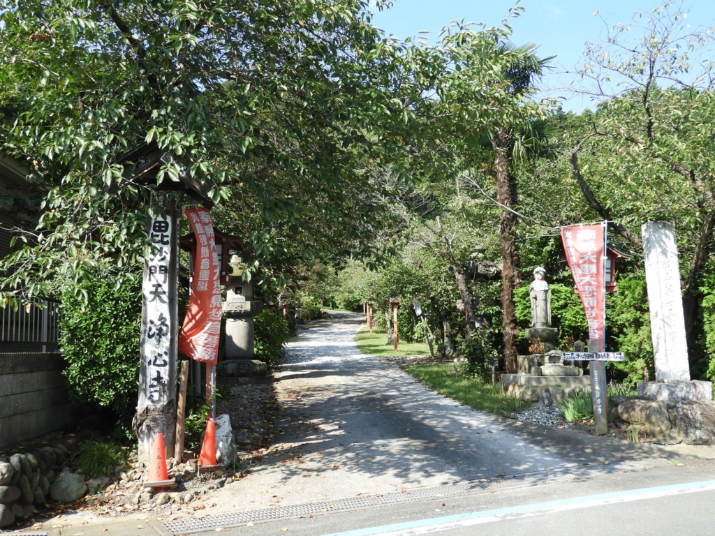 参道を覆う豊かな緑