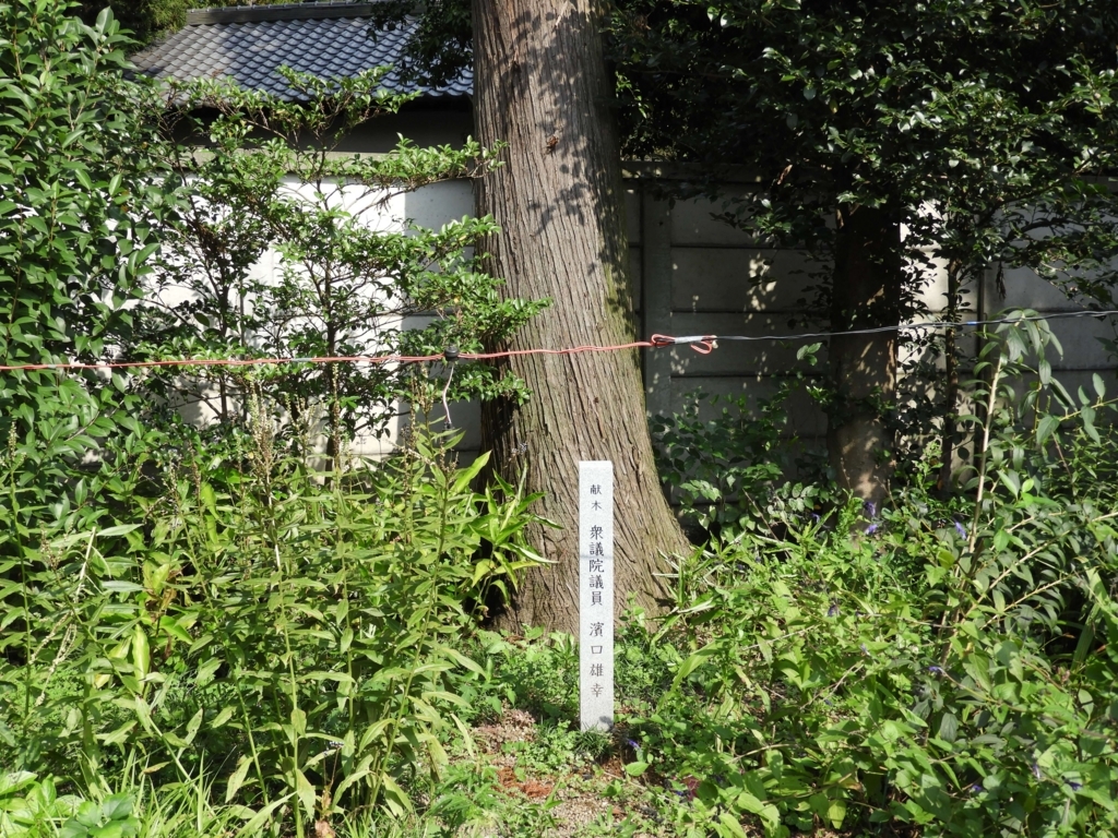 濱口雄幸の記念樹