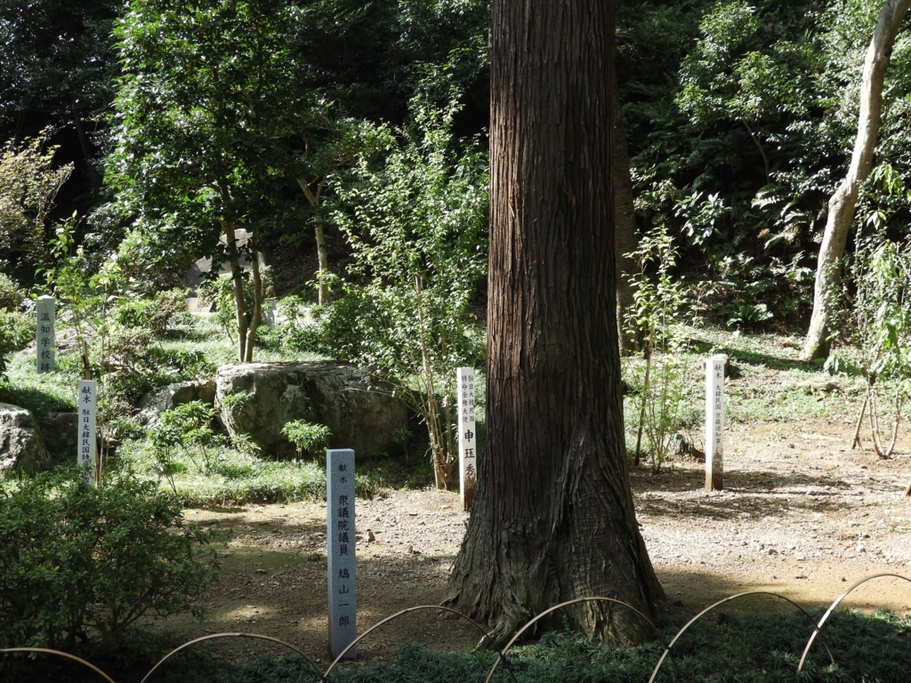 鳩山一郎の記念樹