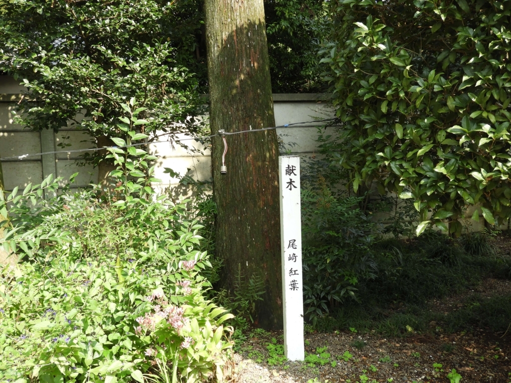 尾崎紅葉の記念樹