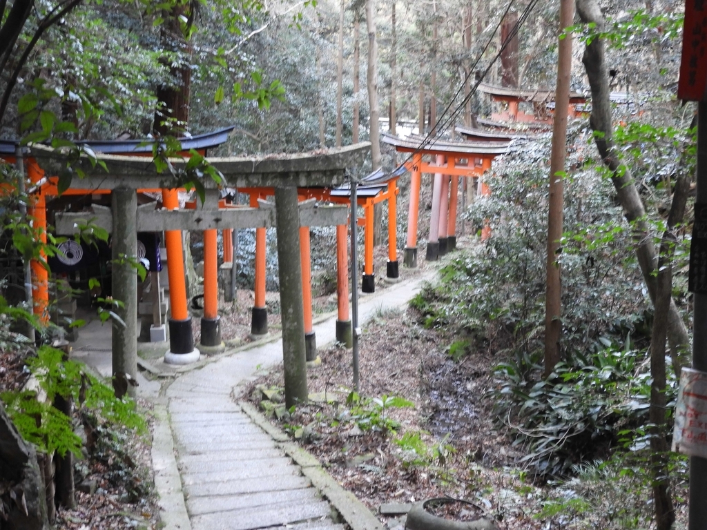 稲荷山の山道に立ち並ぶ朱色の鳥居