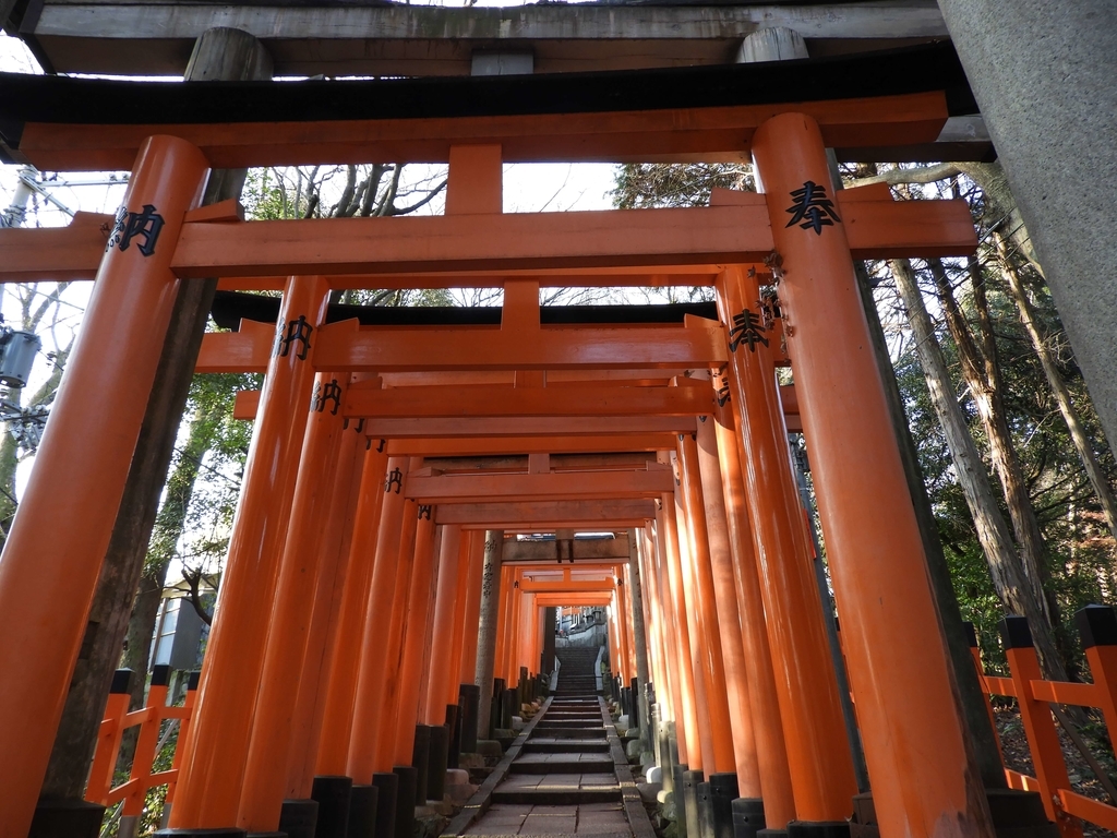 稲荷山の下り階段に立ち並ぶ朱色の鳥居