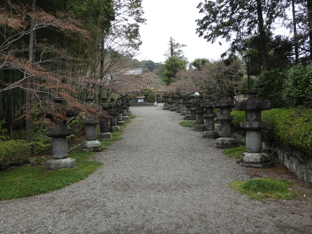 石燈籠の間を延びる参道