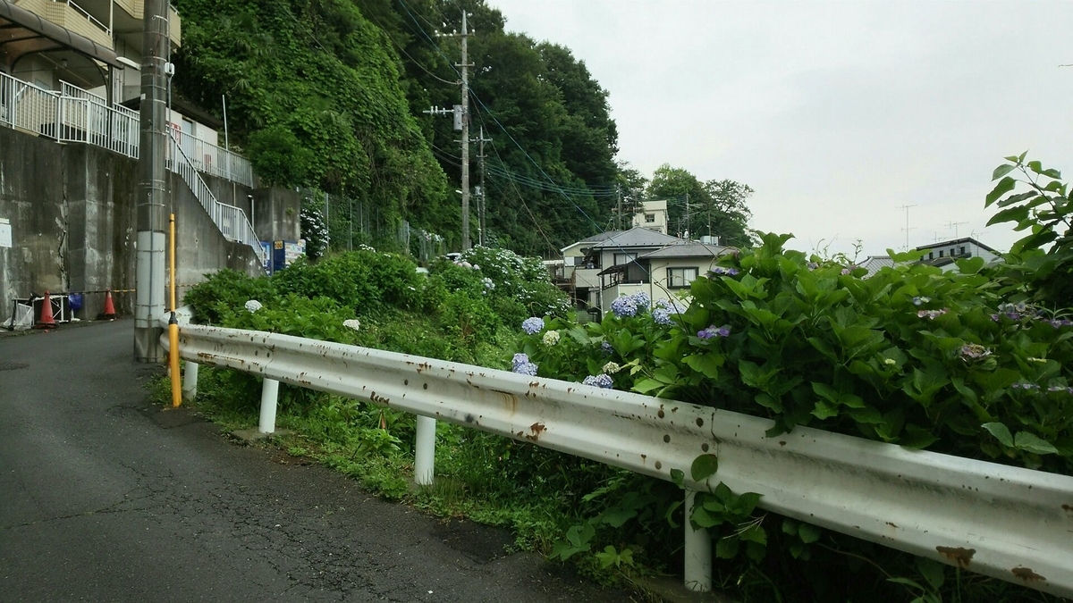 急な上り坂とガードレールとあじさい