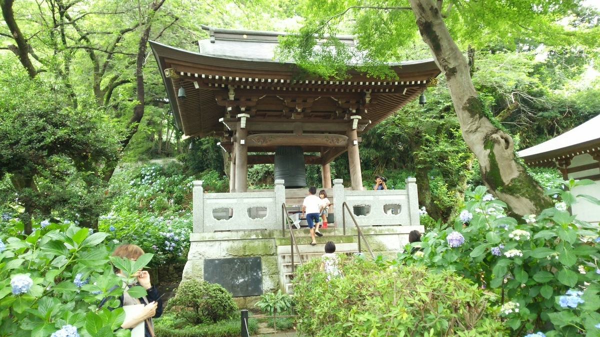 あじさいに囲まれた鐘楼堂