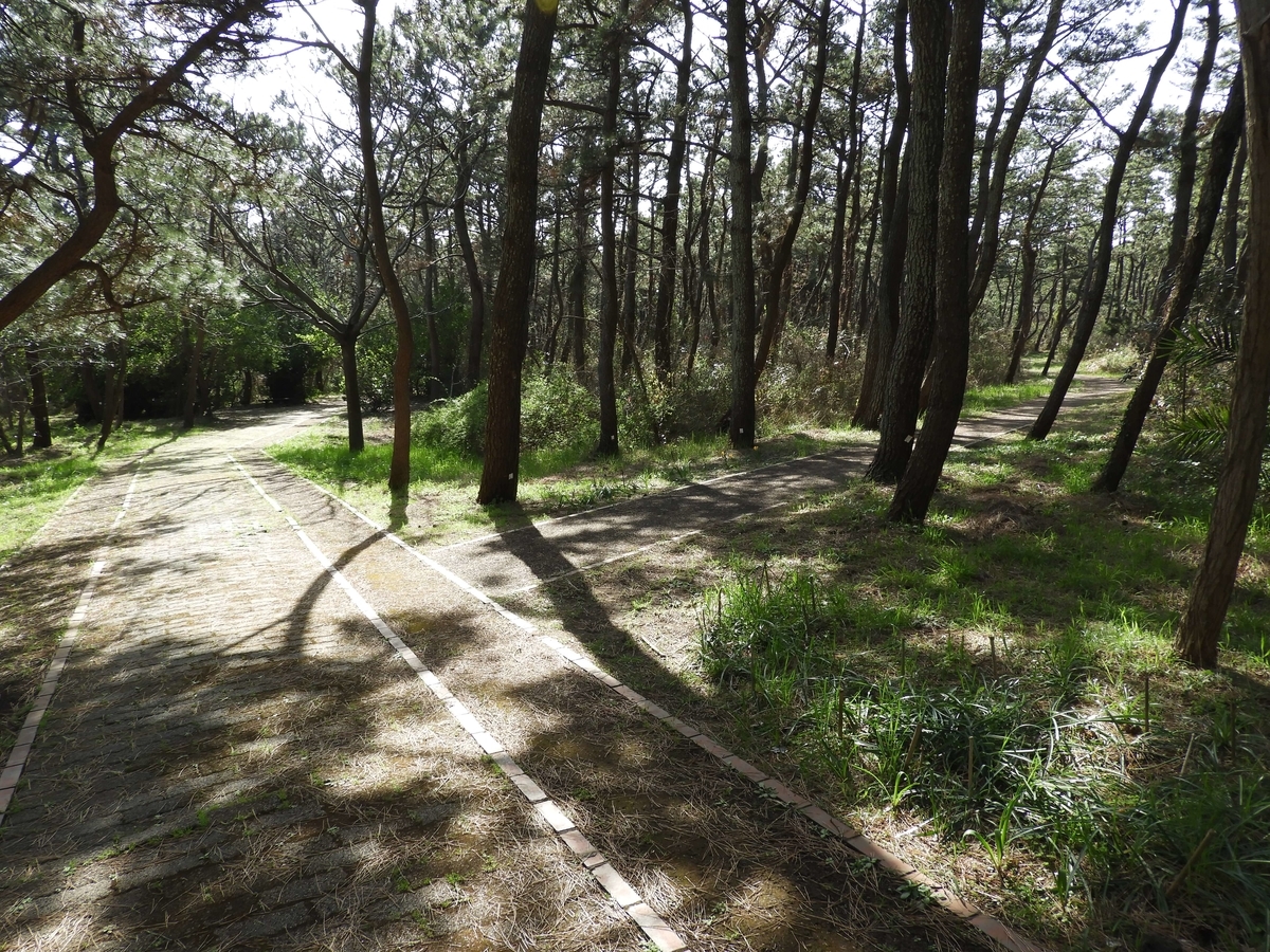 遊歩道の分岐点