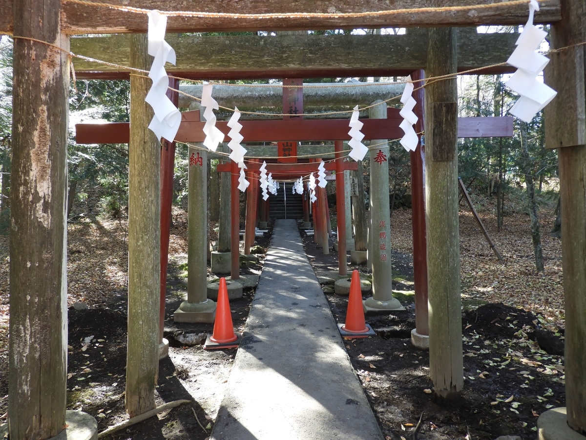 奉納された鳥居