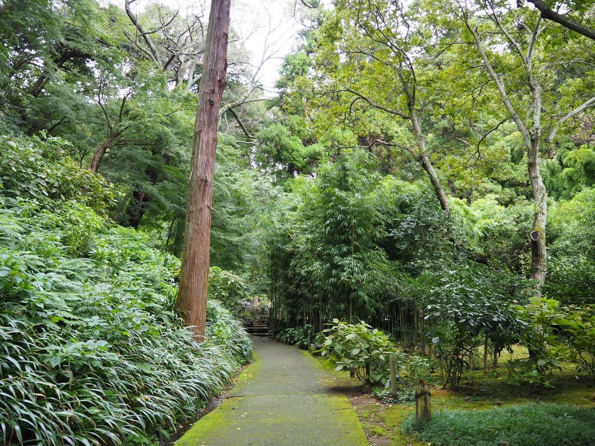 森に囲まれた境内