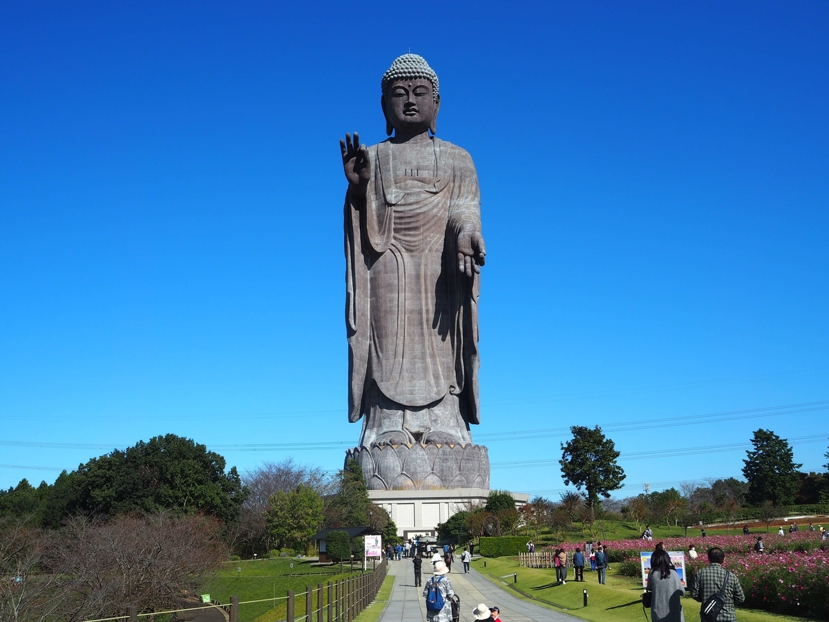 正面から見た牛久大仏