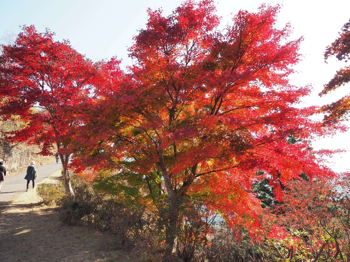 鳥居観音の紅葉