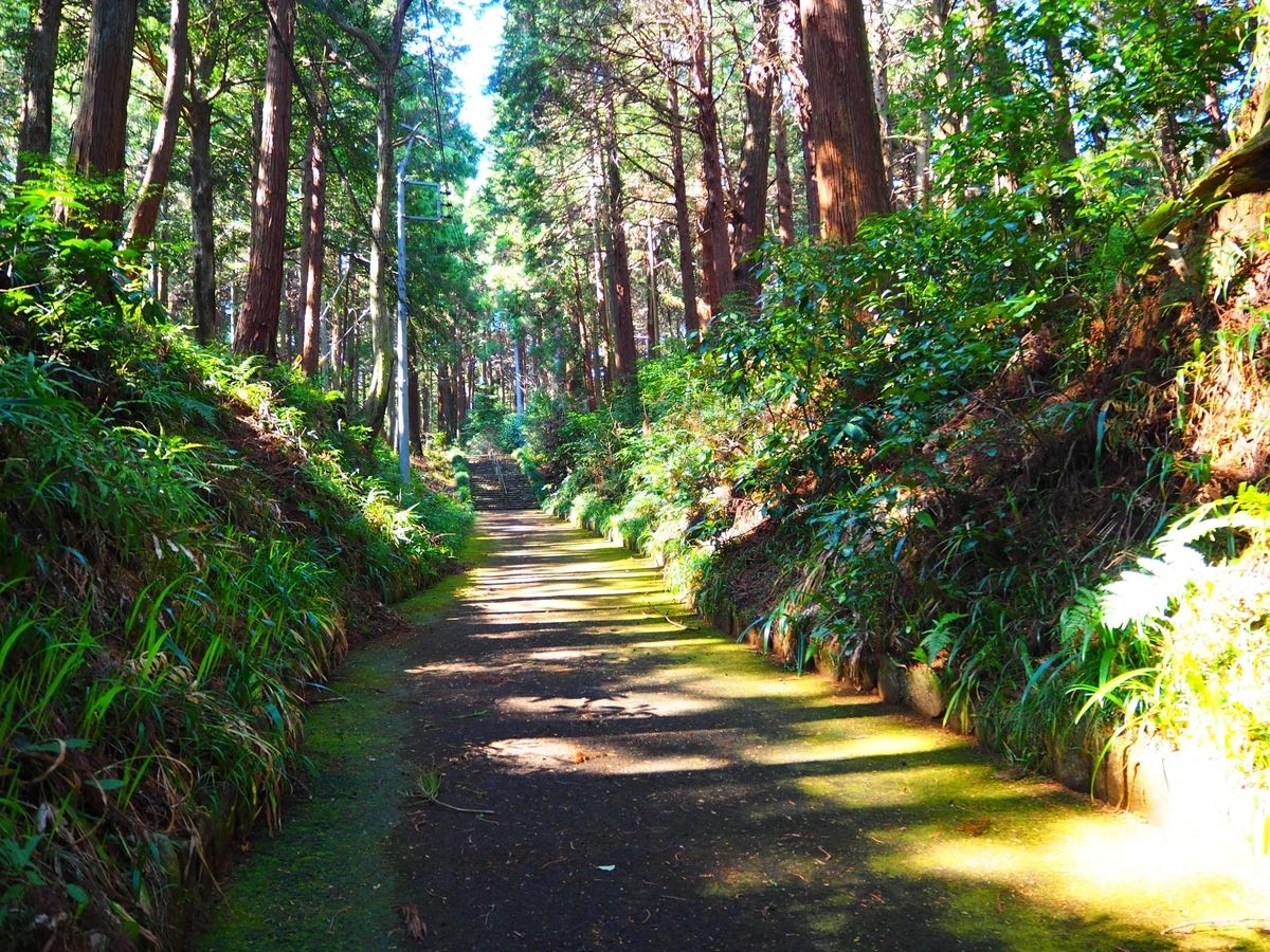 てんぐのこみち