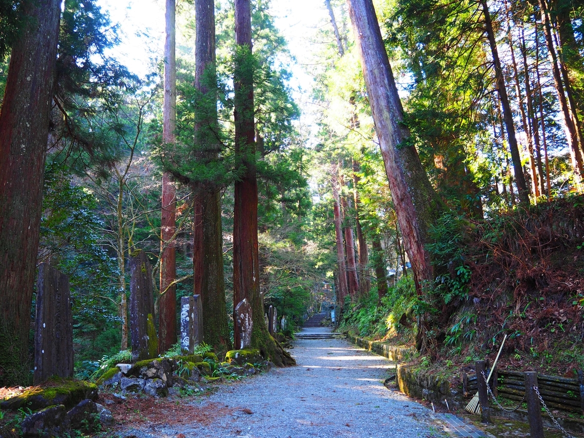 霊気に満ちていた大雄山最乗寺の参道