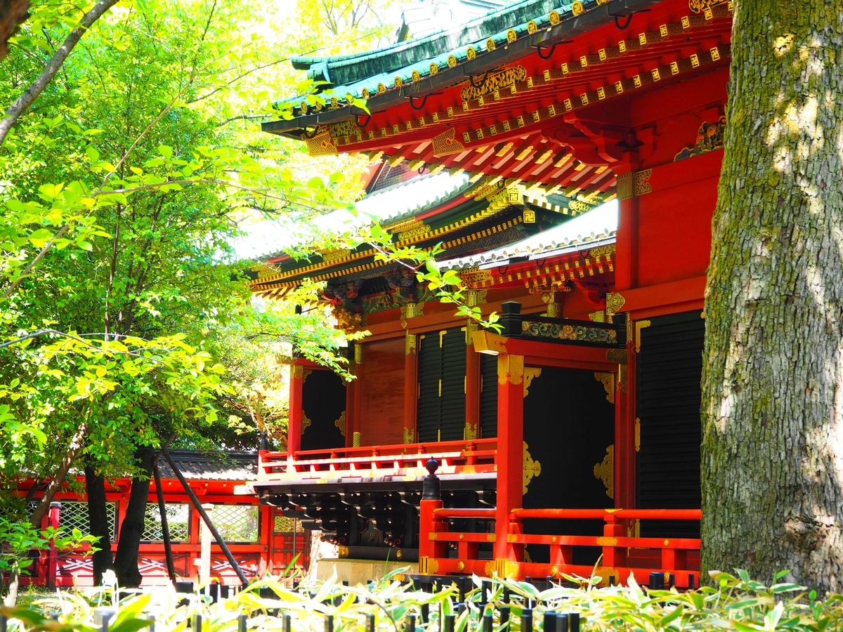 重要文化財である根津神社の本殿