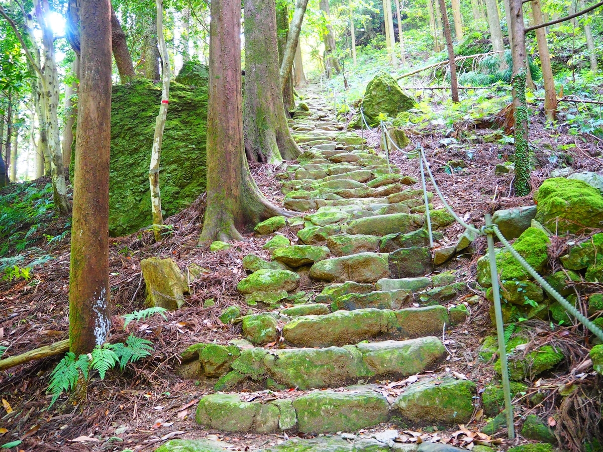 石段と脇に張られた綱
