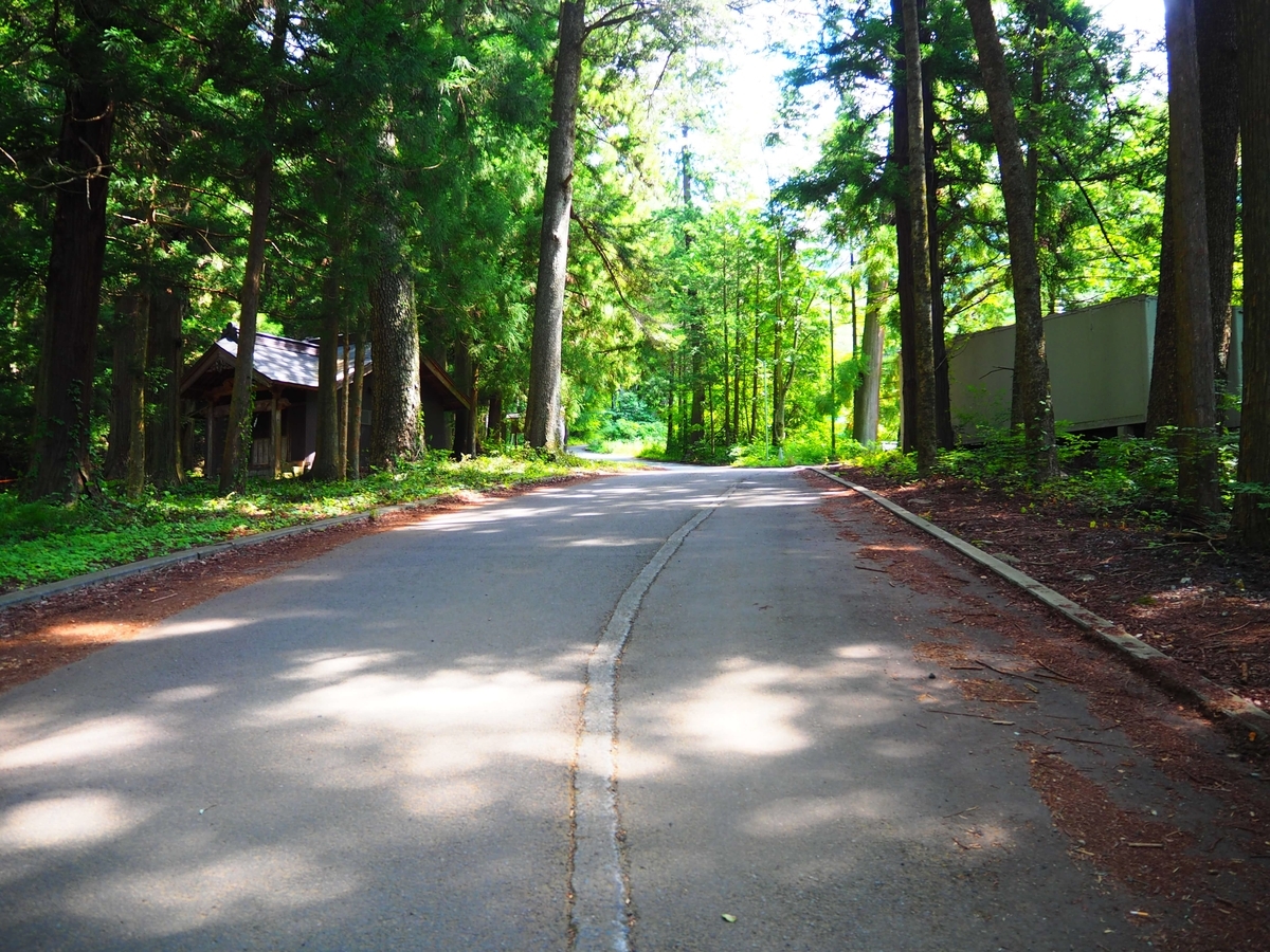 神社が面した道