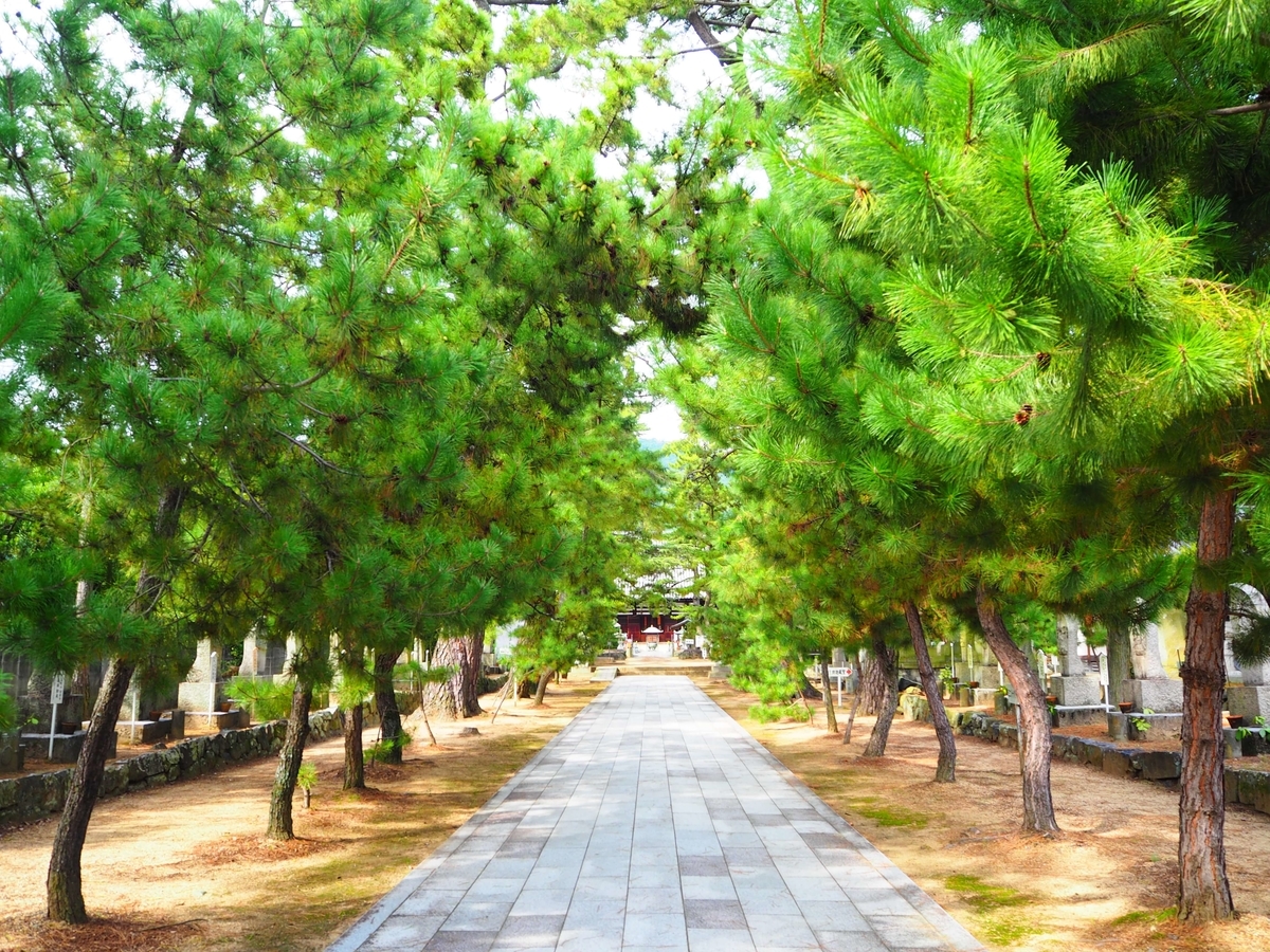 讃岐国分寺の境内