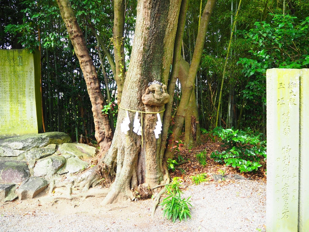 ご神木と思われる木