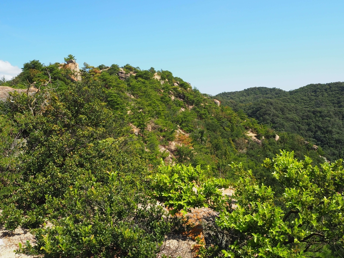 周囲の山腹に散乱する残石
