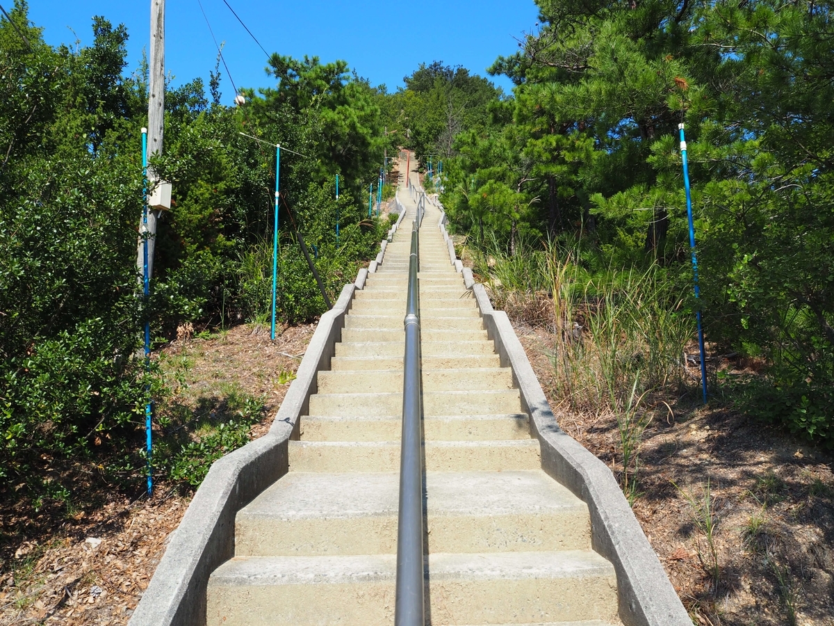さらに上に延びる階段