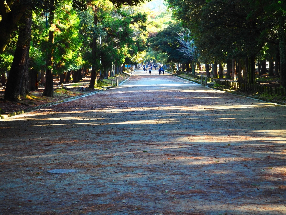 一之鳥居から伸びる表参道と鹿