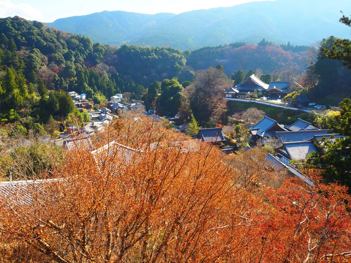 舞台からの眺望