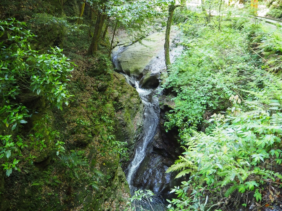 参道沿いの清らかな流れ