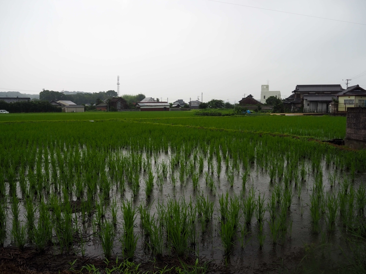 田園風景