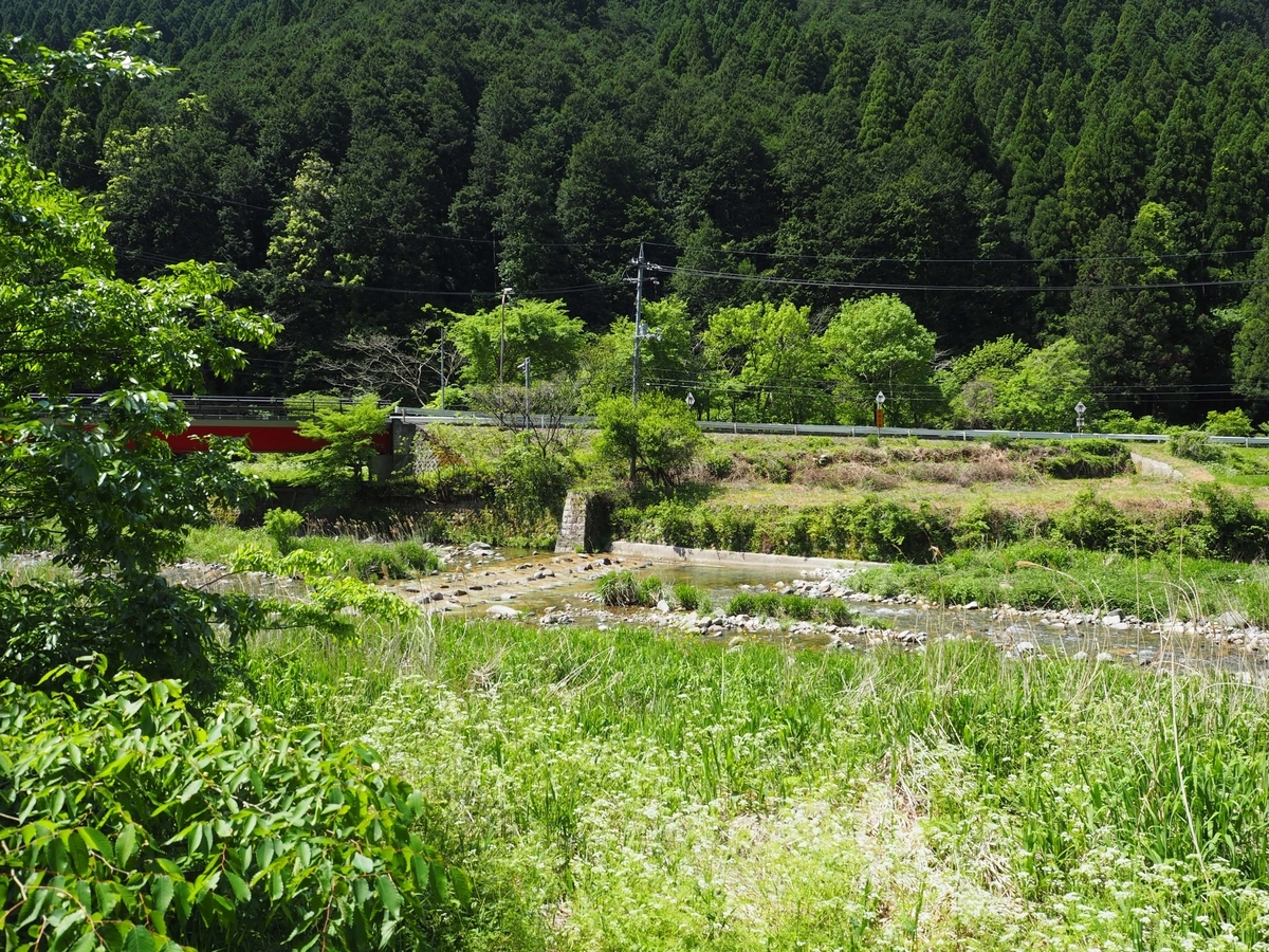 川の反対から近づいてくる181号線