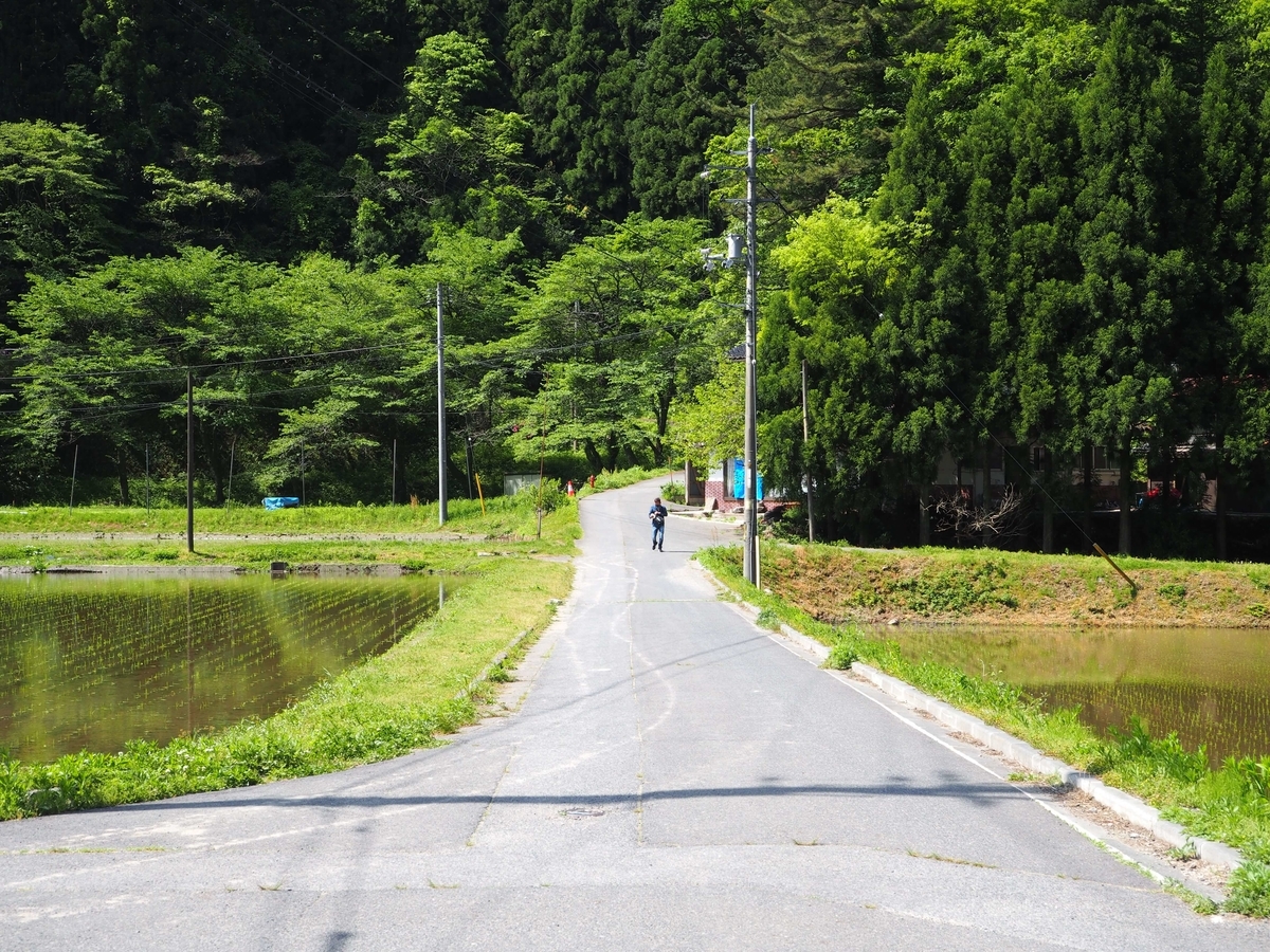 田園風景の中の道