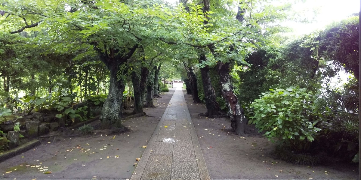 一直線に延びる参道