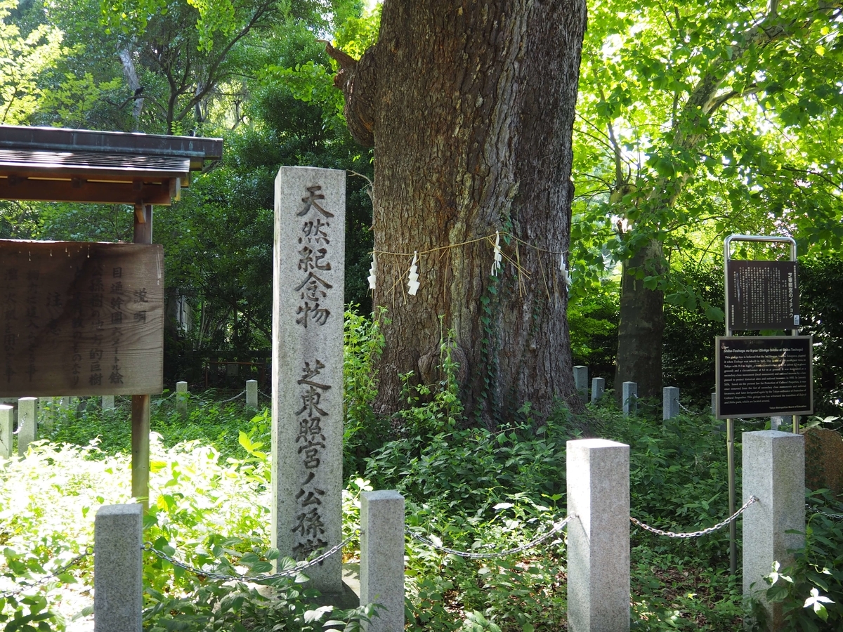 「大公孫樹」の石碑