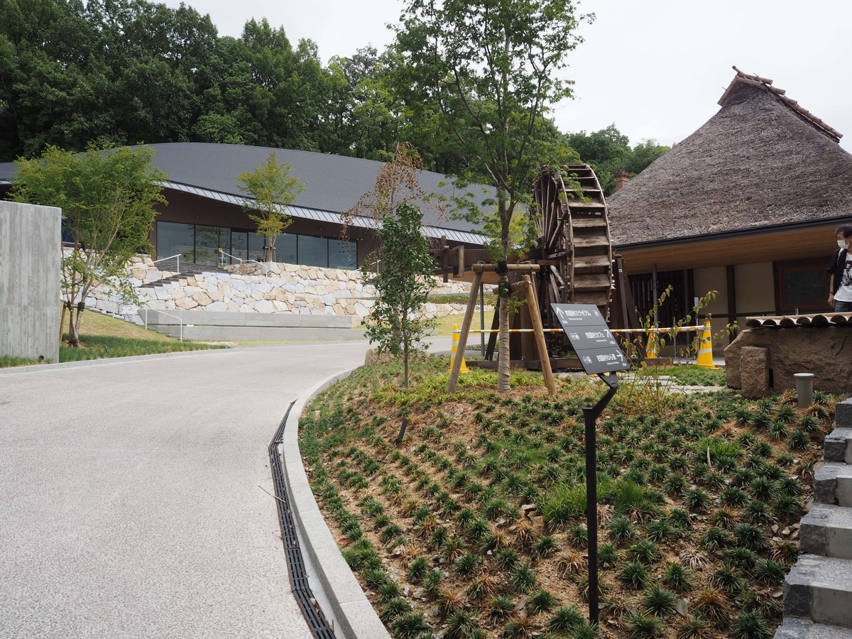 きれいになった店の周辺