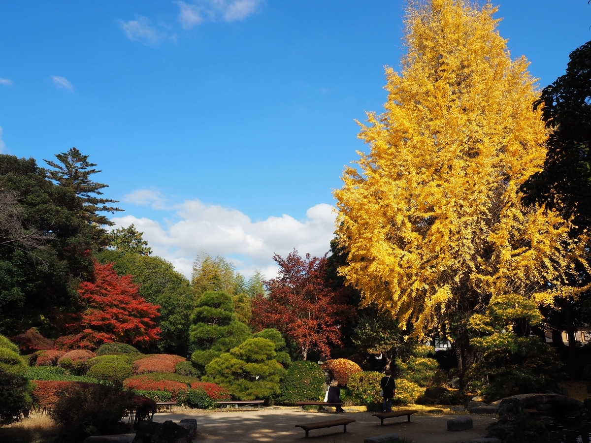 鑁阿寺の美しい庭園