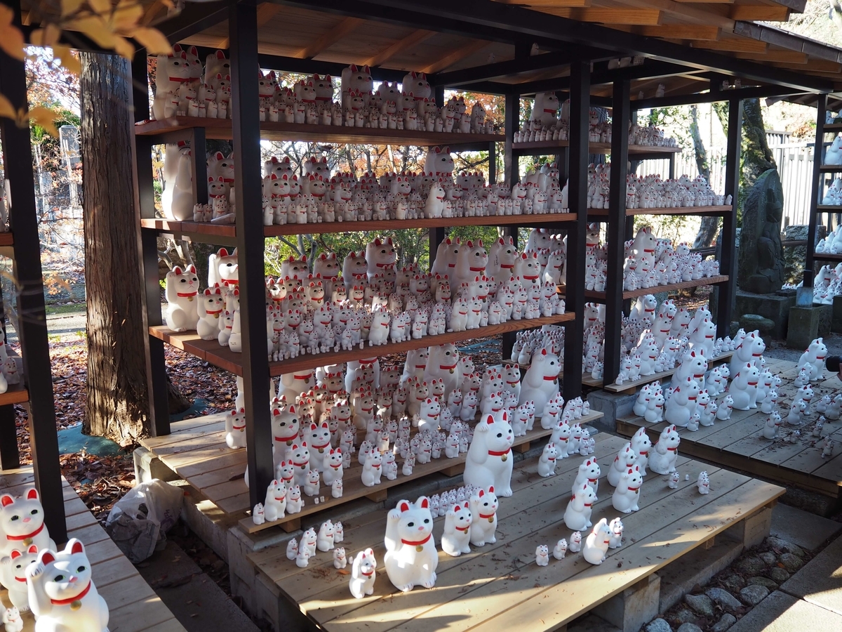 奉納された無数の招き猫