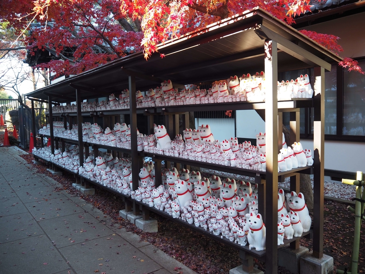 奉納された無数の招き猫