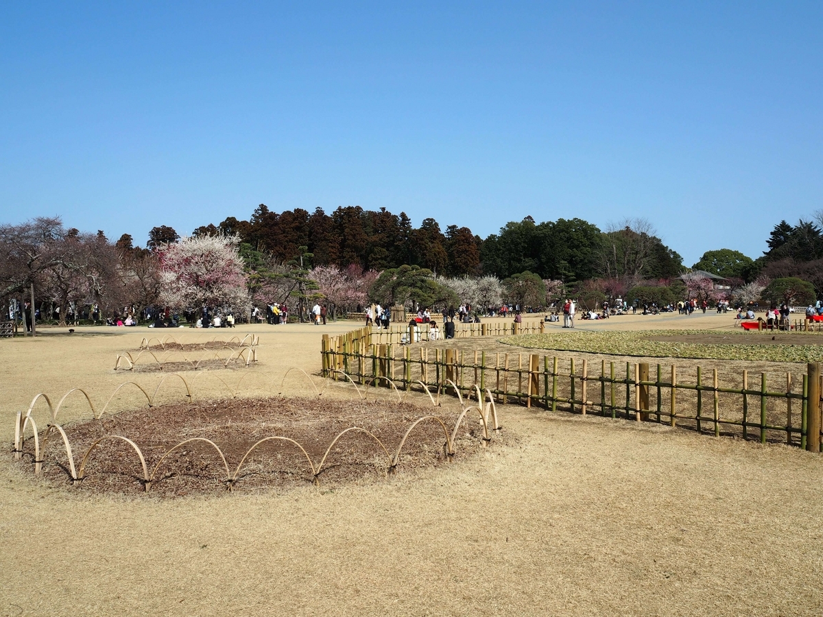 日本三名園の一つ偕楽園