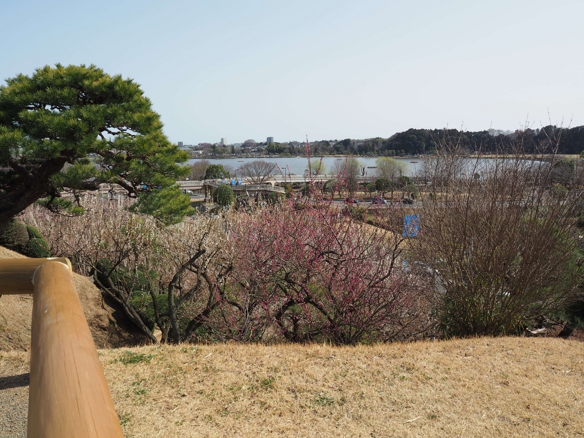 仙奕台からの眺望