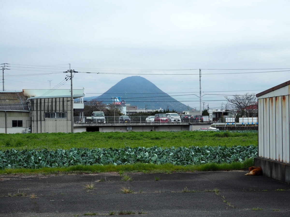 飯野山の全景