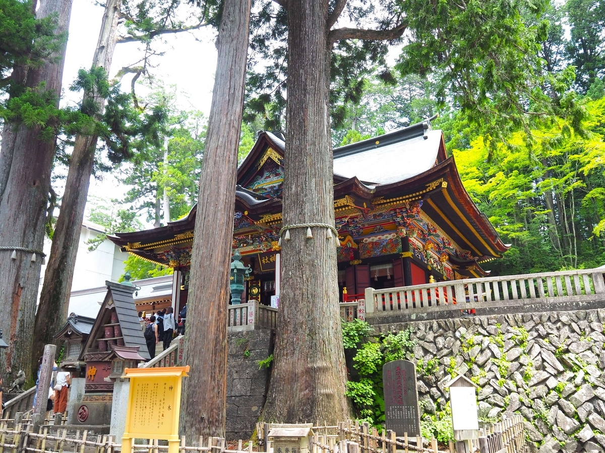 三峯神社の右側のご神木