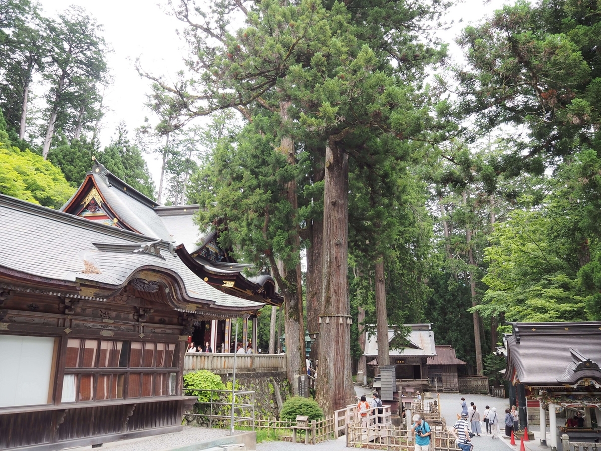 三峯神社の左側のご神木