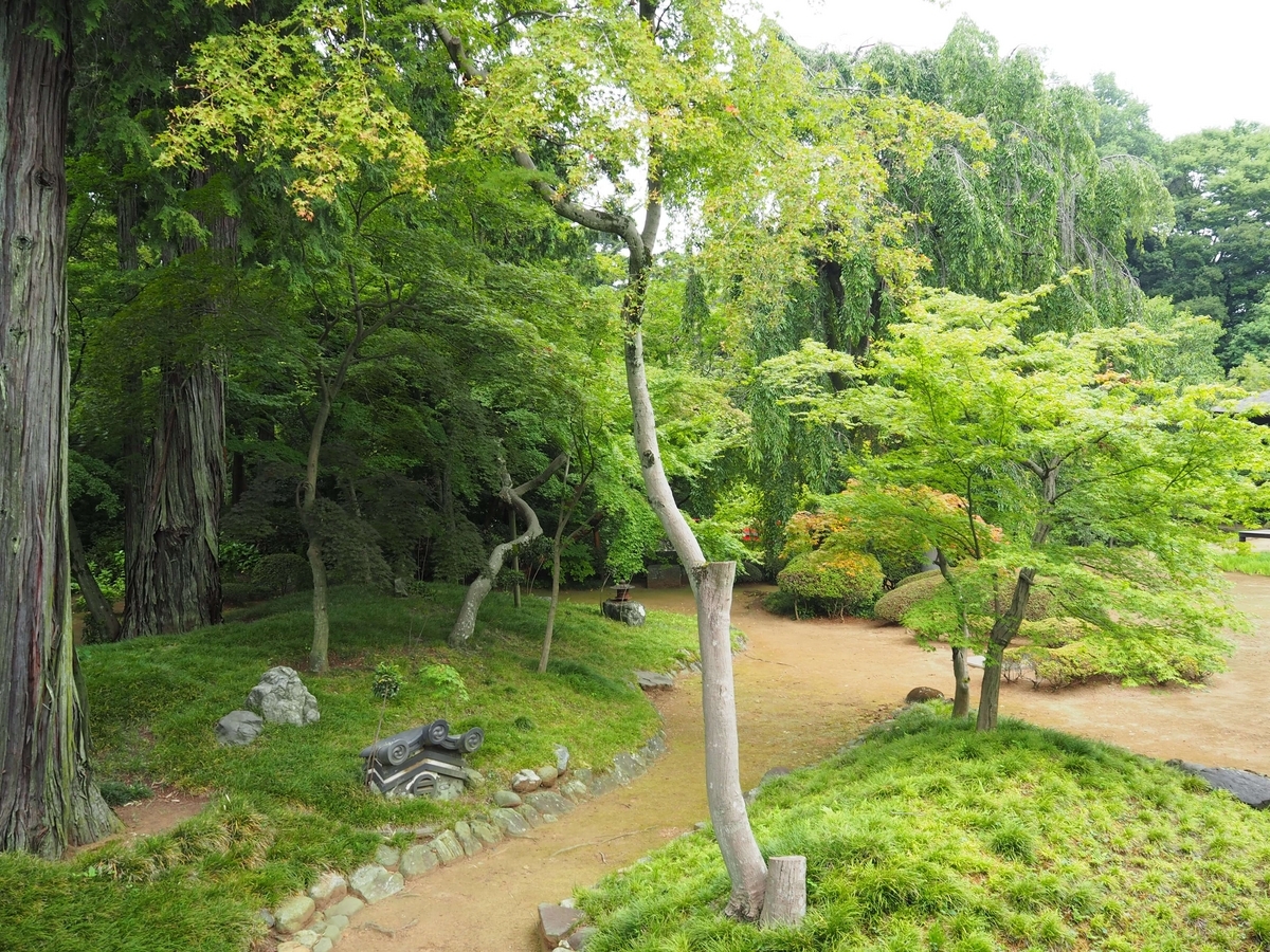 2023年7月15日の喜多院の庭園
