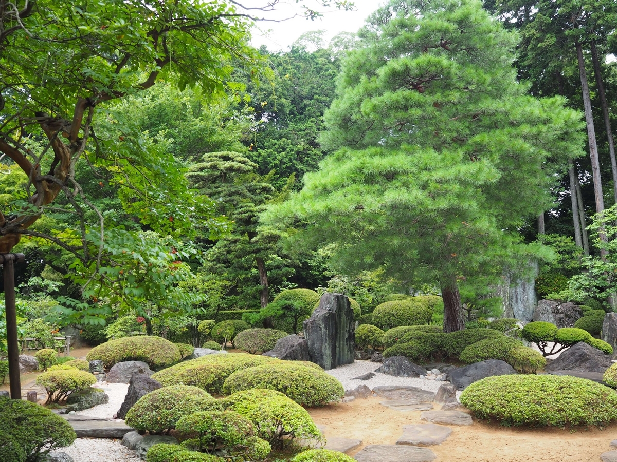 2023年7月15日の喜多院の庭園