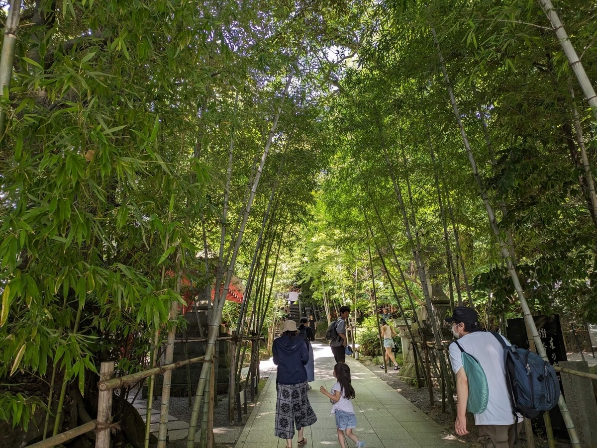 来宮神社の参道