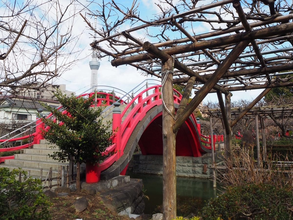 2024年3月2日の男橋