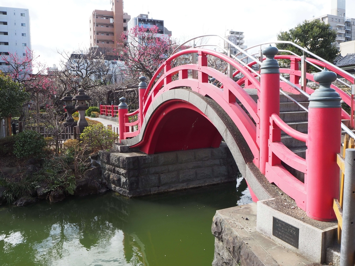 2024年3月2日の女橋