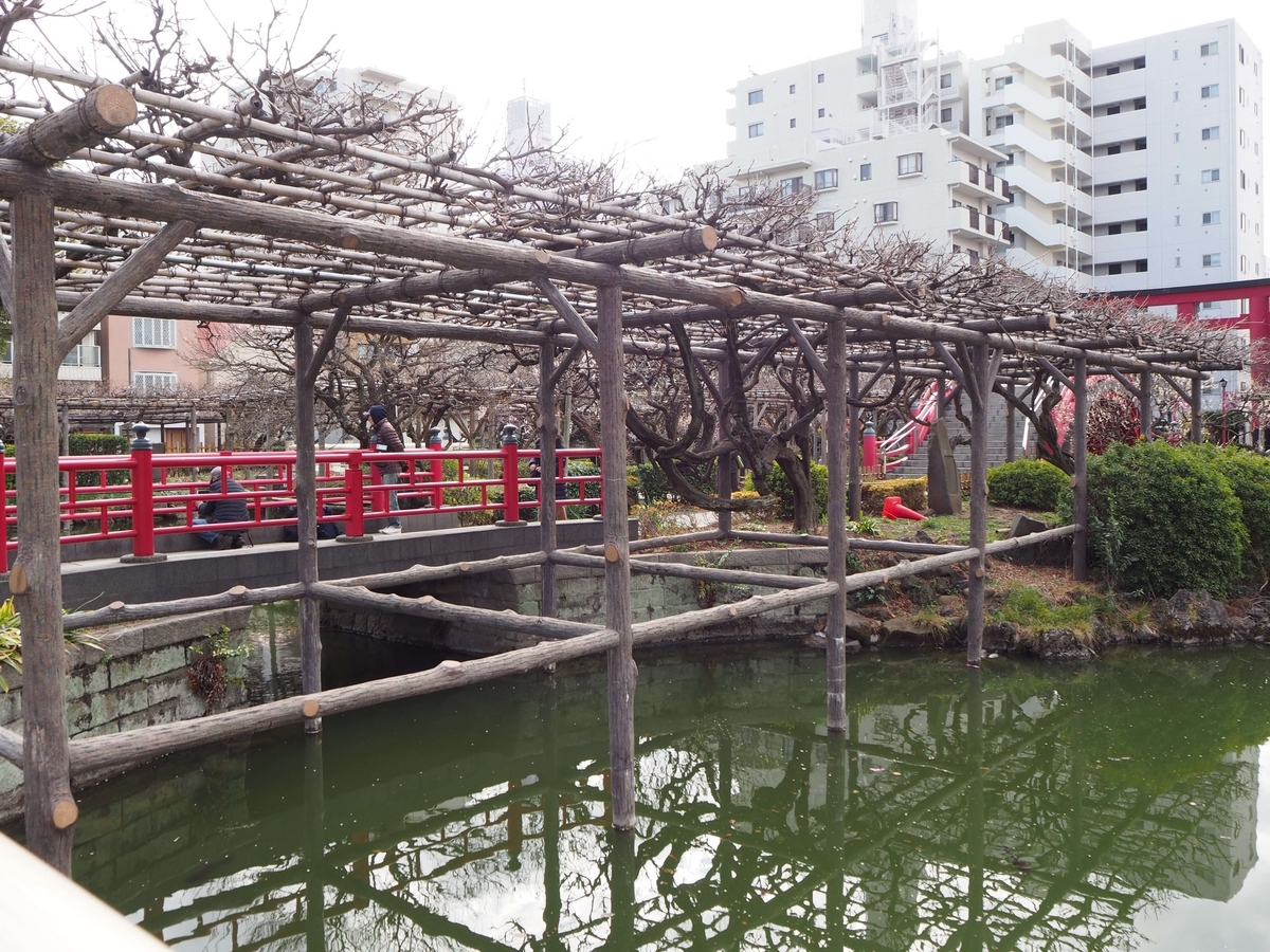 2024年3月2日の心字池